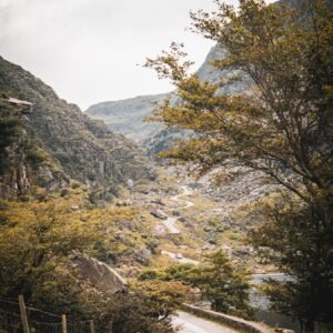 Winding road through mountains and trees.