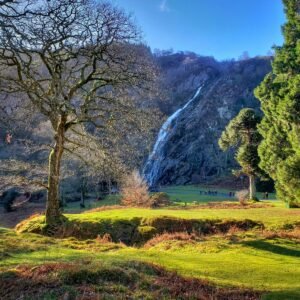 green grass field with trees and mountain in distance