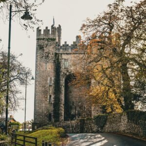 an old castle with a gate and trees around it