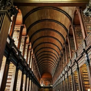 brown wooden shelves in library
